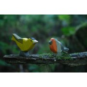 Birds
