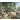Rubens, Peter Paul, Wildschweinjagd