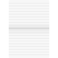 Writing book A4 cross 16 sheets. 10 pieces Lin A1