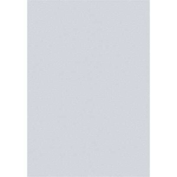 Color Multi-Purpose Card 45x65 220g 10 Stck silver