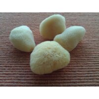 genuine Greek sea sponges LEVANTINER