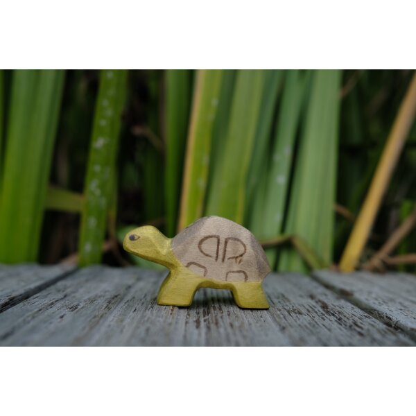 Schildkröte klein
