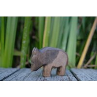 Wildschwein Bache