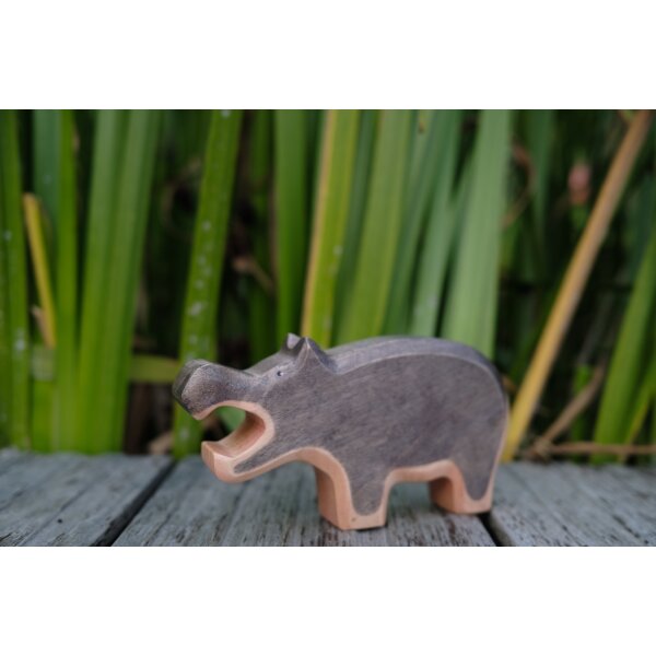 Hippopotamus mouth open