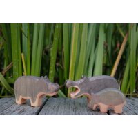 Hippopotamus mouth open