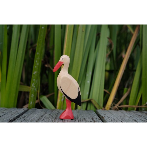 Storch