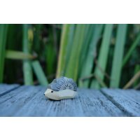 Hedgehog  small