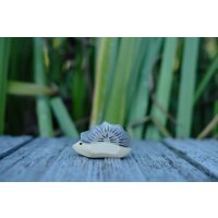 Hedgehog  small