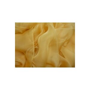 04 apricot